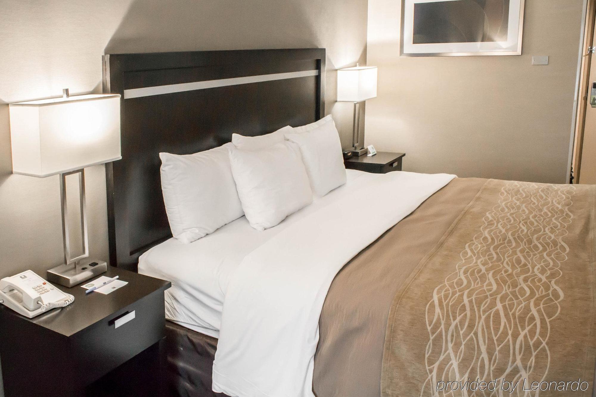 Holiday Inn Express & Suites - Albany Airport - Wolf Road By Ihg Extérieur photo