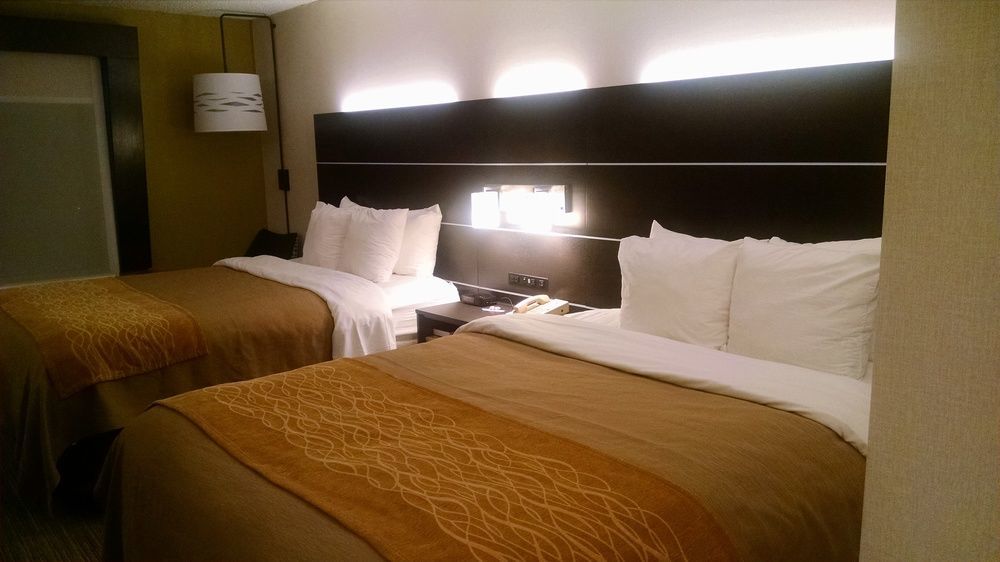 Holiday Inn Express & Suites - Albany Airport - Wolf Road By Ihg Extérieur photo
