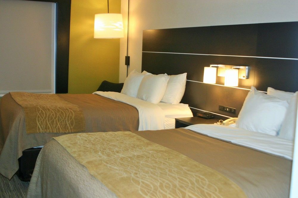 Holiday Inn Express & Suites - Albany Airport - Wolf Road By Ihg Extérieur photo